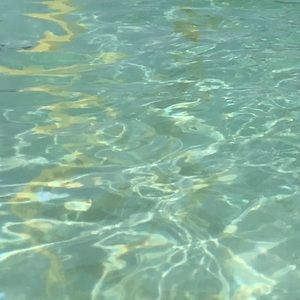 Meet your Posher, Serena